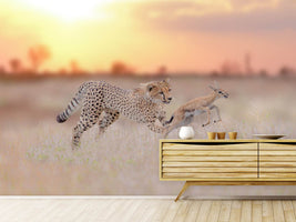 photo-wallpaper-cheetah-hunting-a-gazelle-x