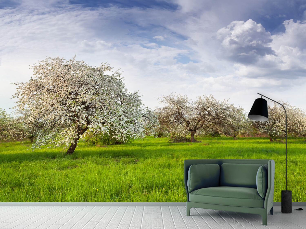 photo-wallpaper-apple-tree-garden