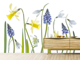 photo-wallpaper-spring