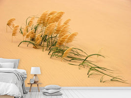 photo-wallpaper-pampas-grass-in-sand-dune-x