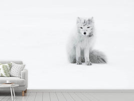 photo-wallpaper-arctic-fox-xjg