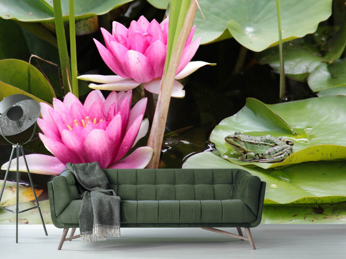 photo-wallpaper-the-frog-in-the-protection-of-water-lilies