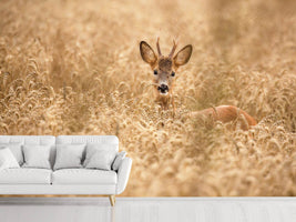 photo-wallpaper-deer-in-the-field-x