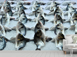 photo-wallpaper-at-the-fish-market