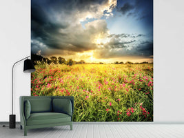 photo-wallpaper-flowers-landscape