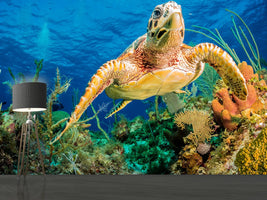 photo-wallpaper-turtle-in-the-reef