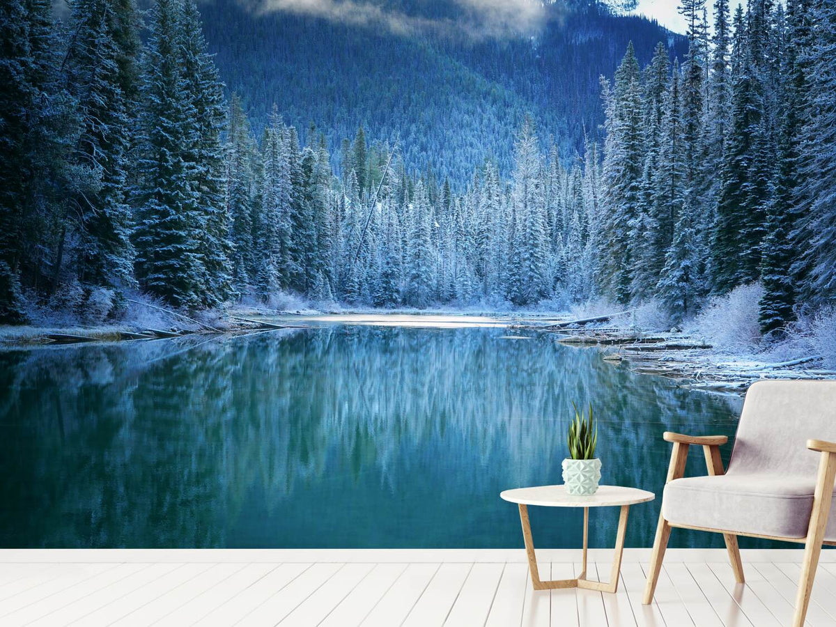 photo-wallpaper-wonder-winter-land-x