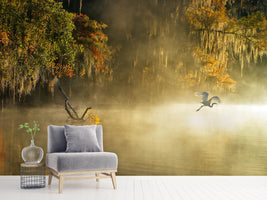 photo-wallpaper-egret