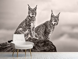 photo-wallpaper-two-lynx-on-rock