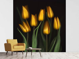 photo-wallpaper-tulips-ii