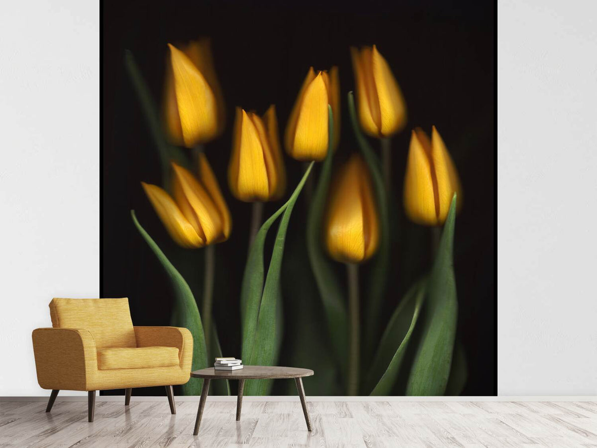 photo-wallpaper-tulips-ii