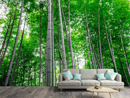 photo-wallpaper-bamboo-forest