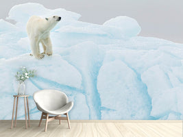 photo-wallpaper-polar-bear-on-iceberg-x