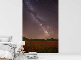 photo-wallpaper-red-meadows