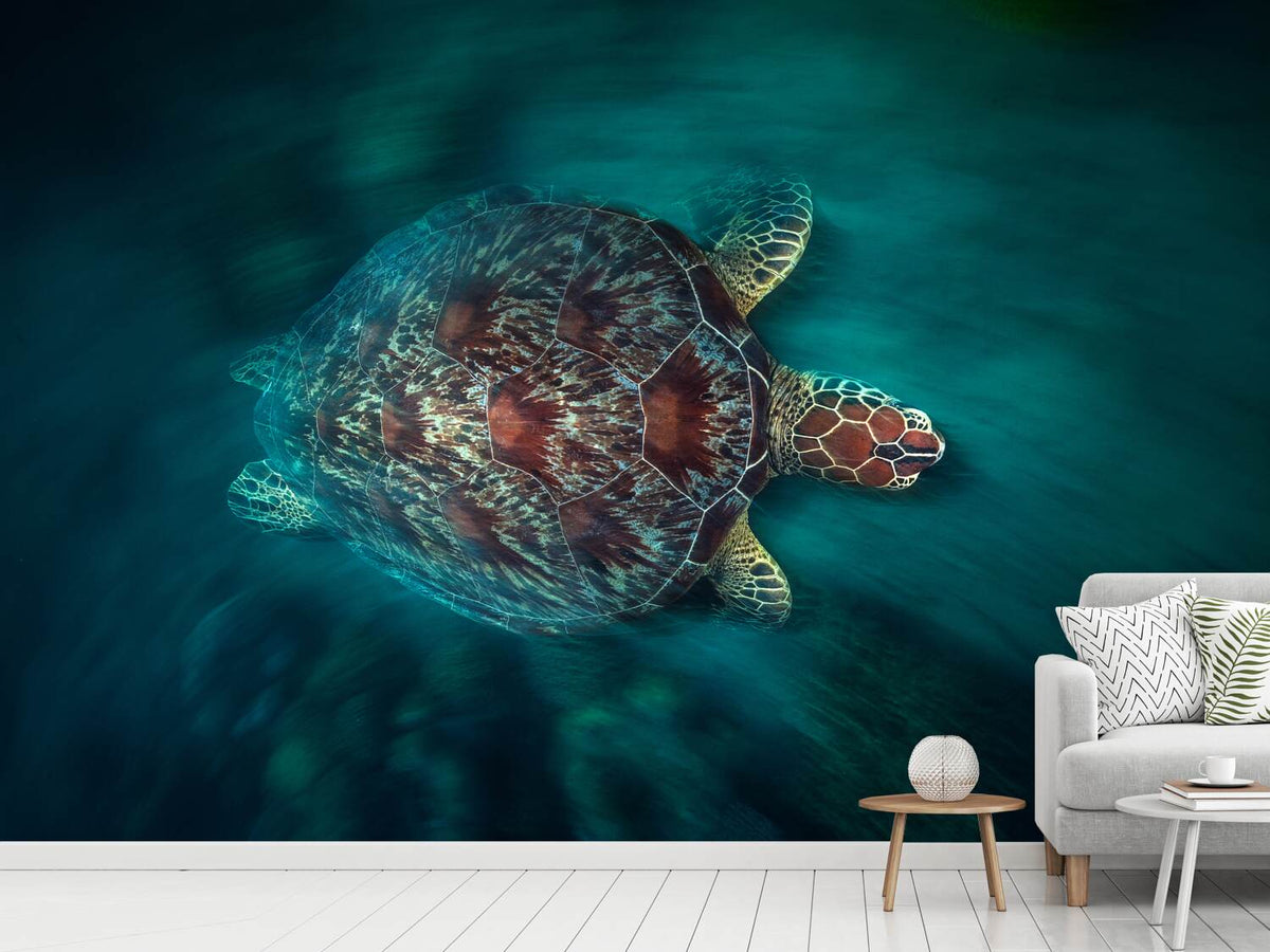 photo-wallpaper-valocity-turtle