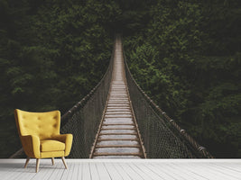 photo-wallpaper-exciting-bridge