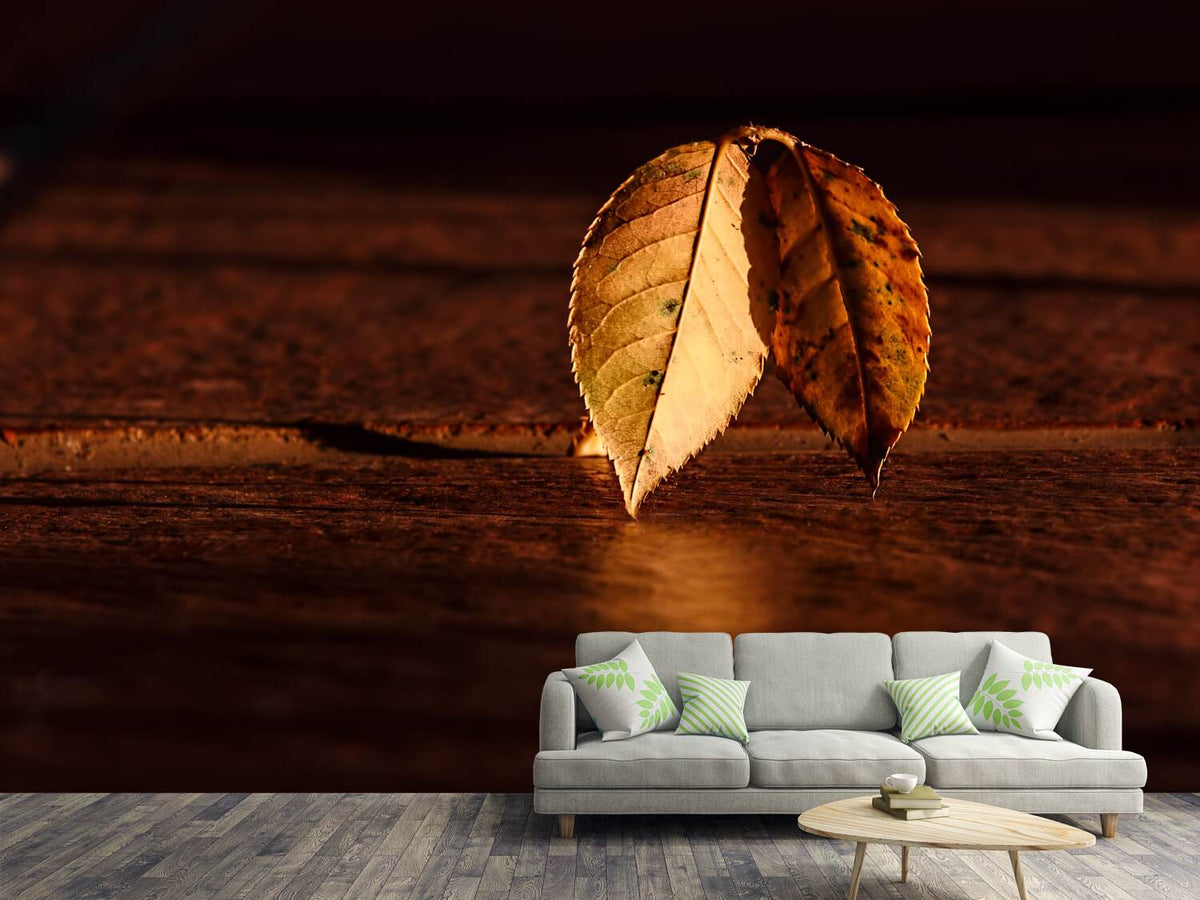 photo-wallpaper-the-leaf