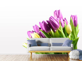 photo-wallpaper-tulips-in-xl