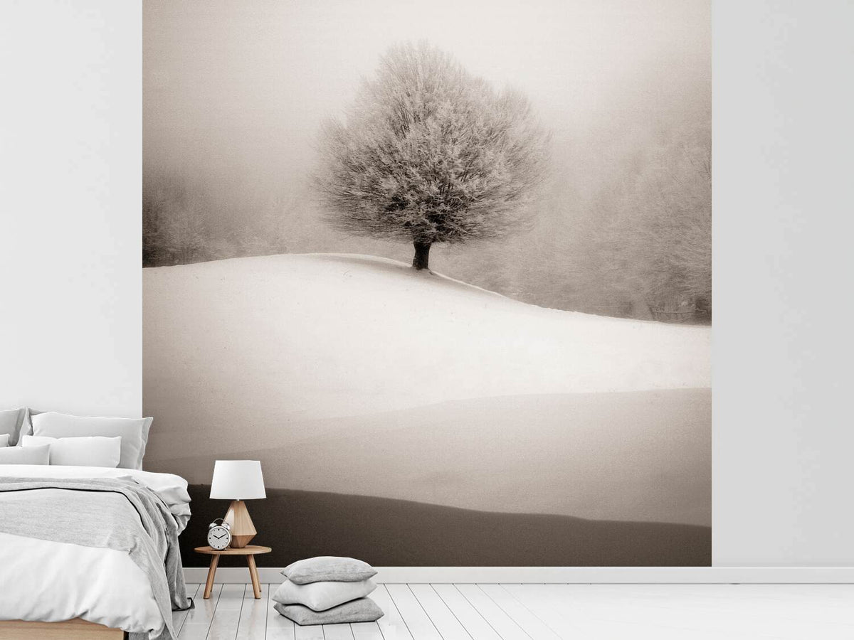 photo-wallpaper-winter-degradee