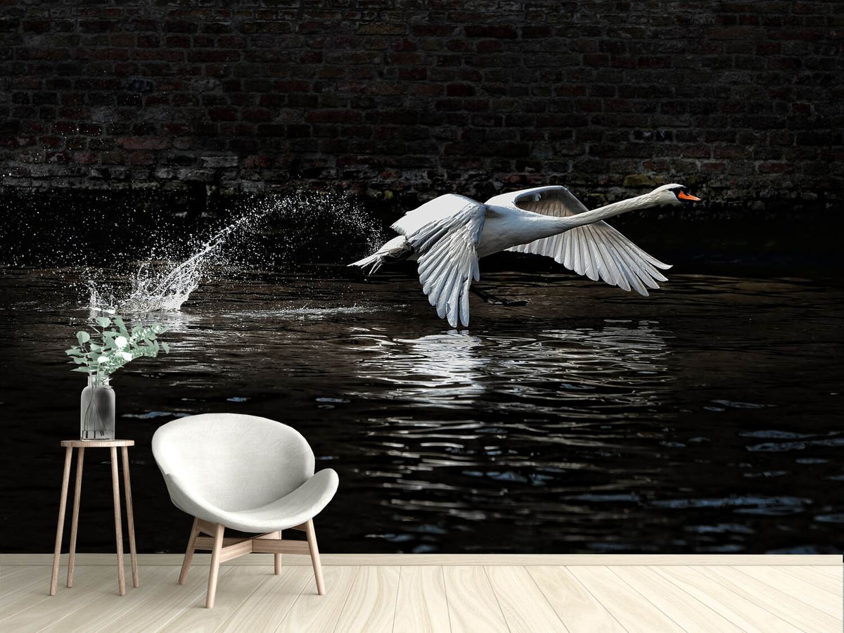 photo-wallpaper-flying-swan