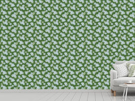 patterned-wallpaper-edelweiss-green