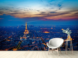 photo-wallpaper-the-eiffel-tower-in-france