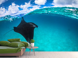 photo-wallpaper-a-reef-manta-ray-in-mayotte-x