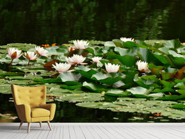 photo-wallpaper-a-field-full-of-water-lilies