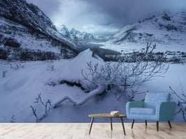 photo-wallpaper-winter-is-coming-a