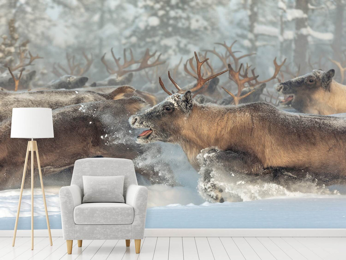 photo-wallpaper-reindeers-iii-x