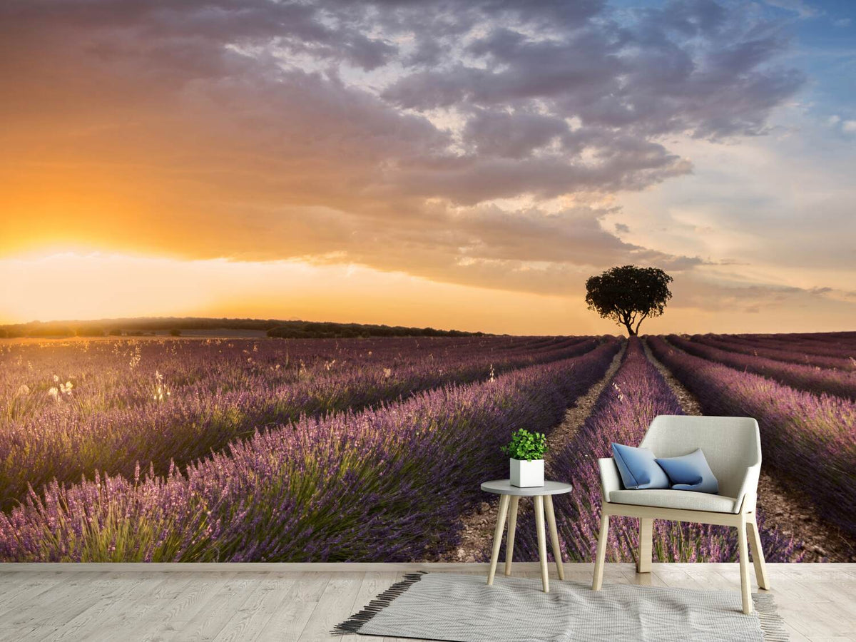 photo-wallpaper-destination-lavender-x