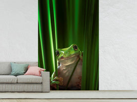 photo-wallpaper-green-frog