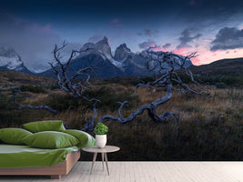 photo-wallpaper-torres-del-paine-x