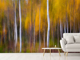 photo-wallpaper-abstract-fall