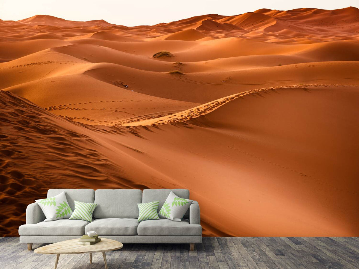 photo-wallpaper-traces-in-the-desert