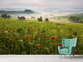 photo-wallpaper-tuscan-spring