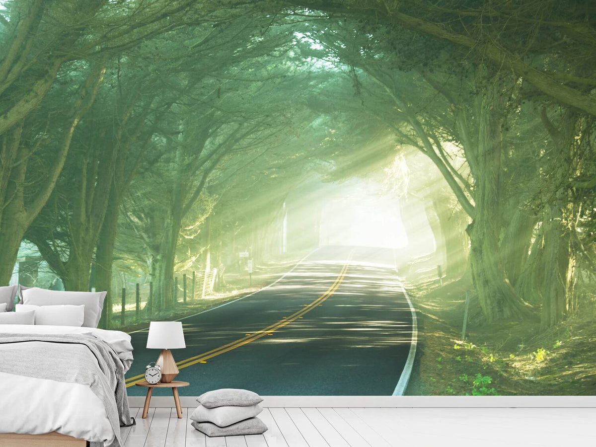 photo-wallpaper-the-avenue