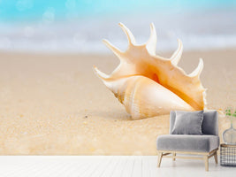 photo-wallpaper-the-shell-on-the-beach