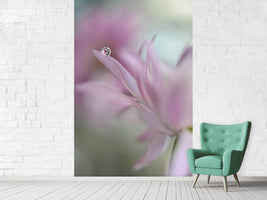 photo-wallpaper-in-pink-delight