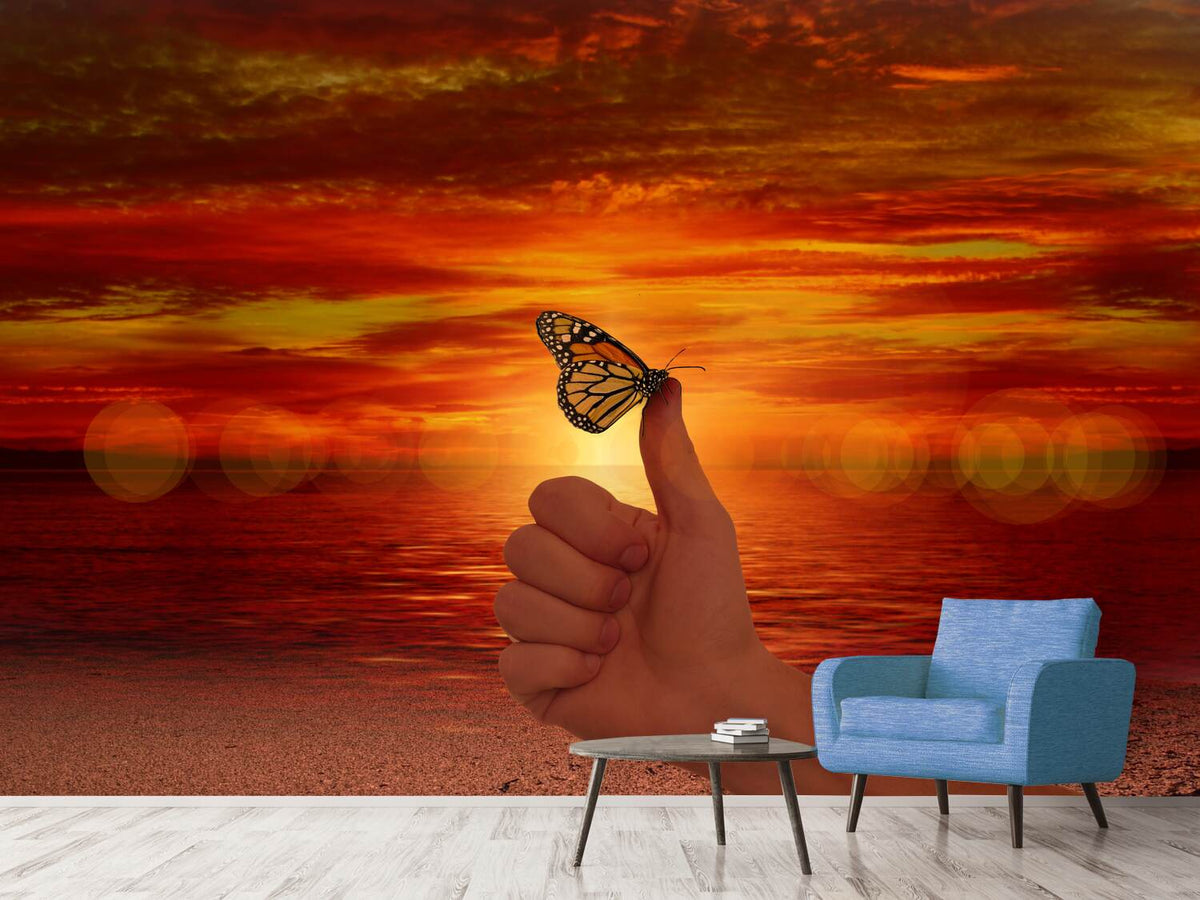 photo-wallpaper-the-butterfly-in-the-evening-light