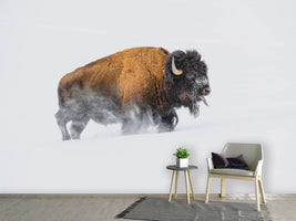 photo-wallpaper-bison-in-the-snow-x