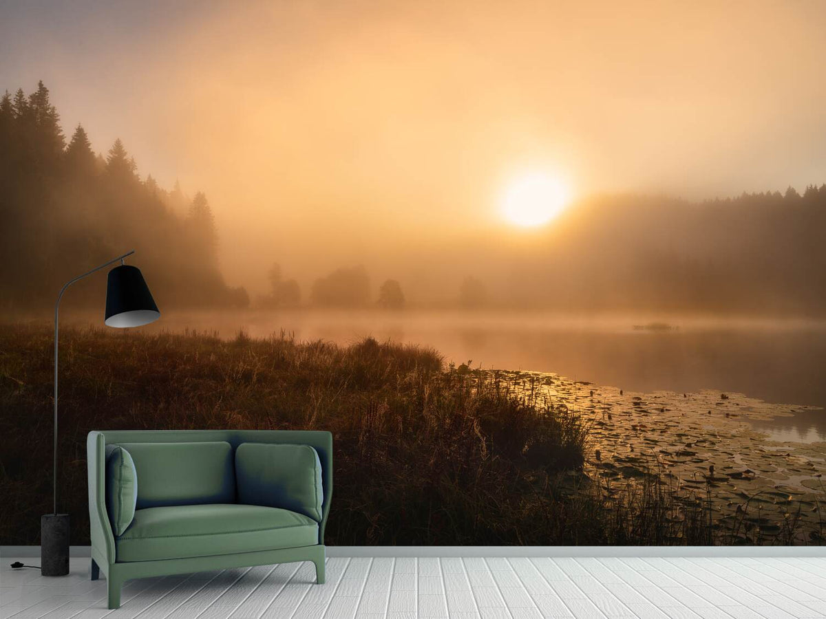 photo-wallpaper-the-incredible-light-of-an-october-morning-x