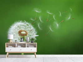 photo-wallpaper-dandelion-blowing-x