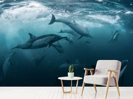 photo-wallpaper-dolphine-run-x