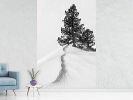 photo-wallpaper-about-the-snow-and-forms