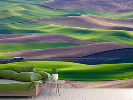 photo-wallpaper-driving-in-the-wheat-field-at-palouse-x