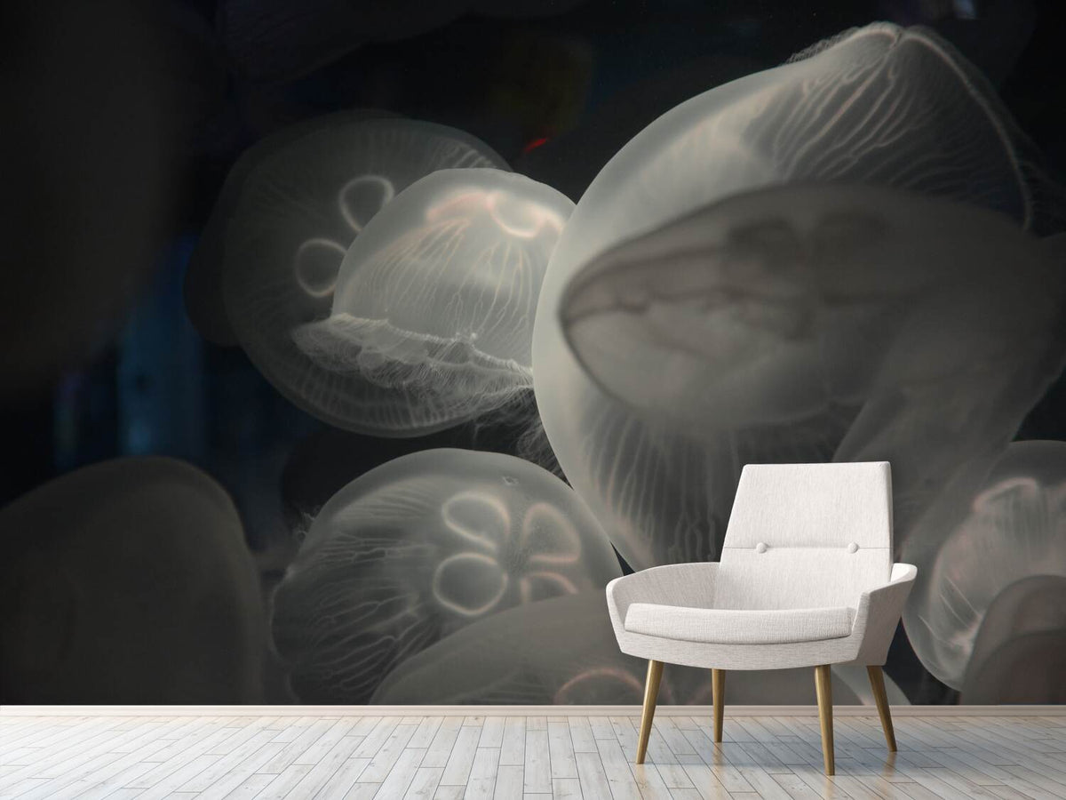 photo-wallpaper-eerie-jellyfish