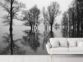 photo-wallpaper-flood-x