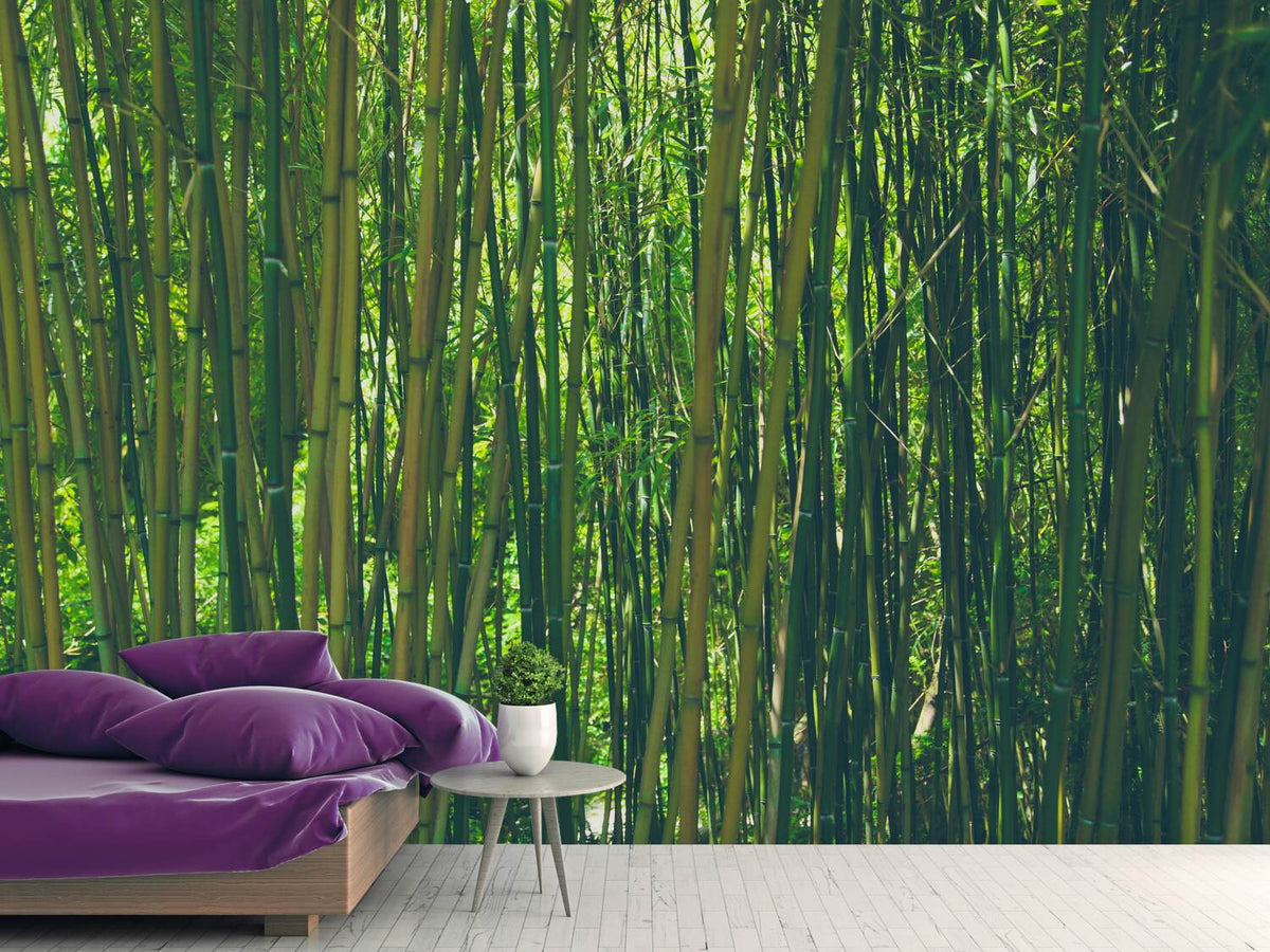 photo-wallpaper-in-the-middle-of-the-bamboo