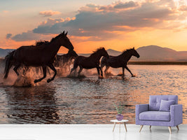 photo-wallpaper-water-horses-x